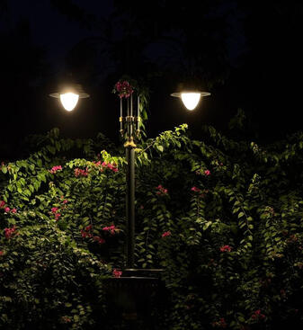 The Tree Beneath the Lamppost - Morpheus Collectives